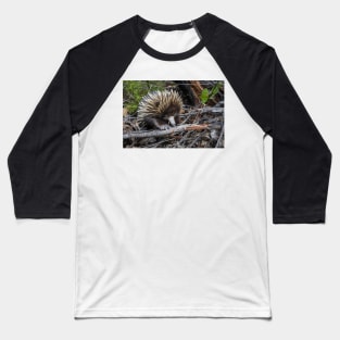 Echidna Encounter Baseball T-Shirt